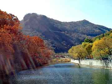 天天彩好彩天天免费，塑胶地坪